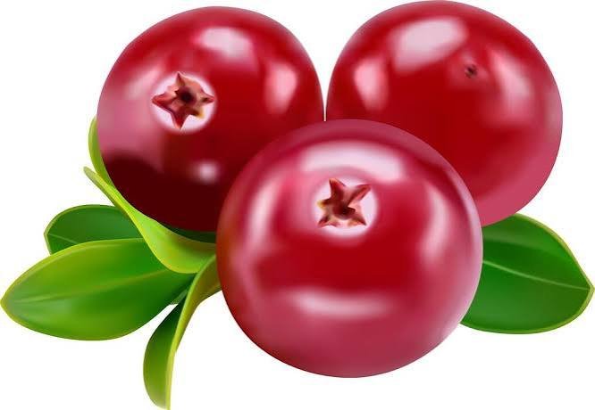 Cranberry fruit extract