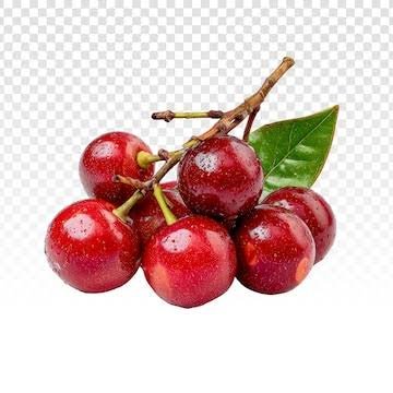 Tart Cherry Extract natural sleep aid